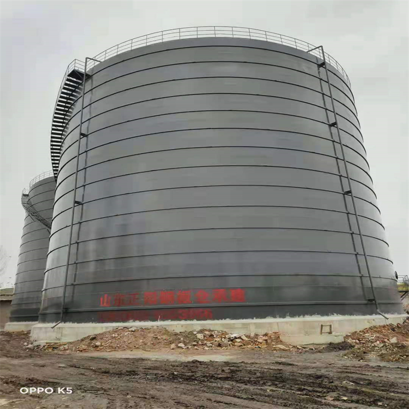 沙市3万吨大型钢板库